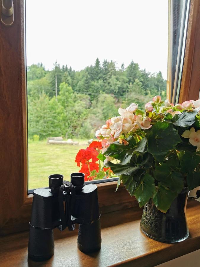 Wies Odnowa Labowa Bagian luar foto