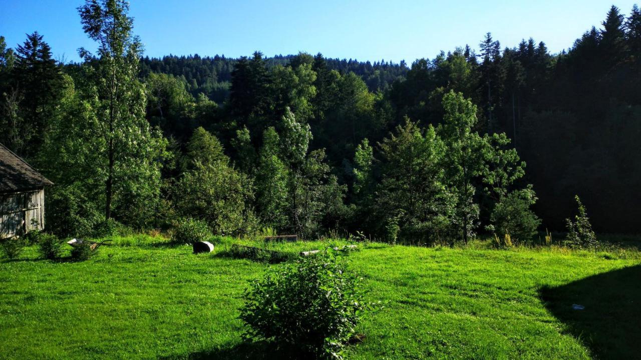 Wies Odnowa Labowa Bagian luar foto