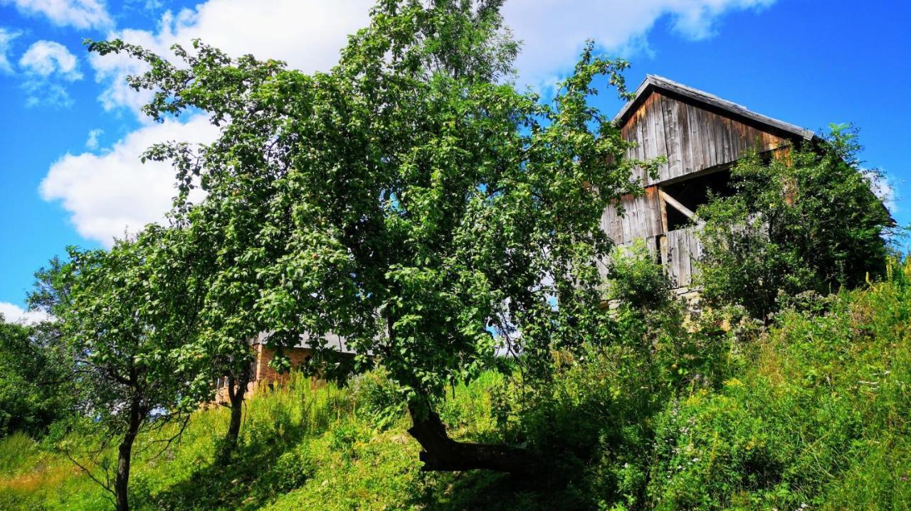 Wies Odnowa Labowa Bagian luar foto